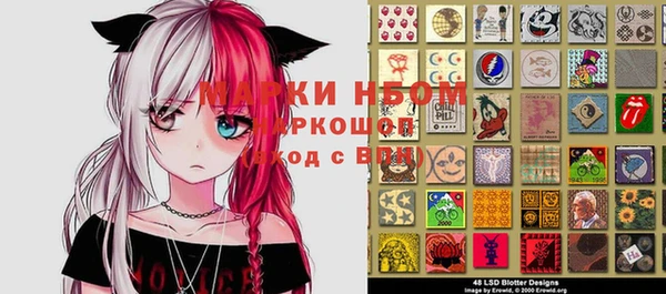 стафф Струнино